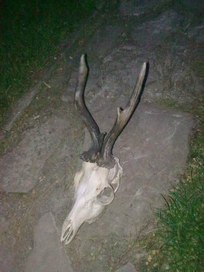 Nedohľadany