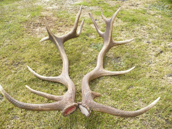 konečne pára 14-toraka:)))