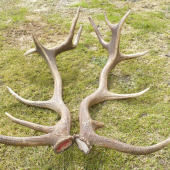 konečne pára 14-toraka:)))