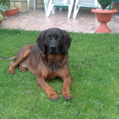 Beny