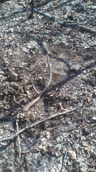 Dnešná prechádzka