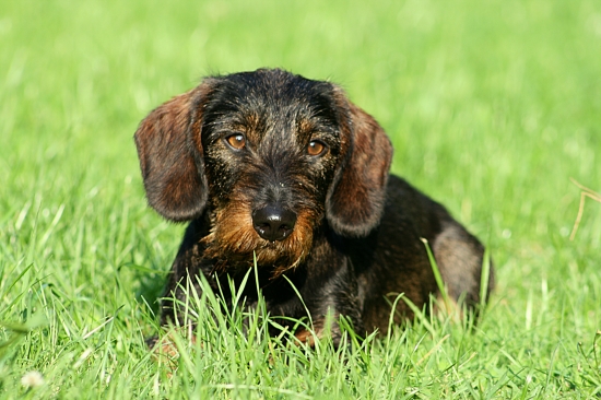 Siesta na sluníčku