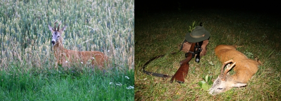 Poctivě vysezený