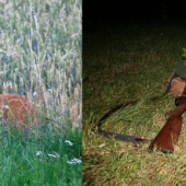 Poctivě vysezený