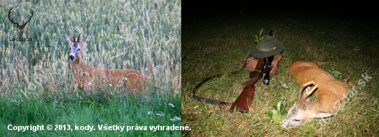 Poctivě vysezený