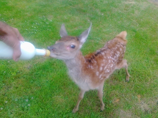 a takto sme ho vychovali