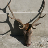 september 2009