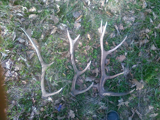 jednu peknú nedeľu