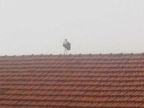 prestávka - v pôrodnici nemajú nič nového