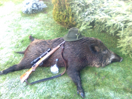 DIWIAčICA