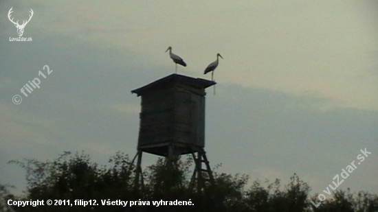 nielen poľovníci využívajú posedy