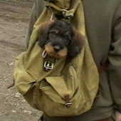 po dlhej prechadzke!!!