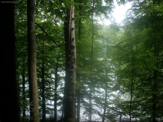 dovolenka