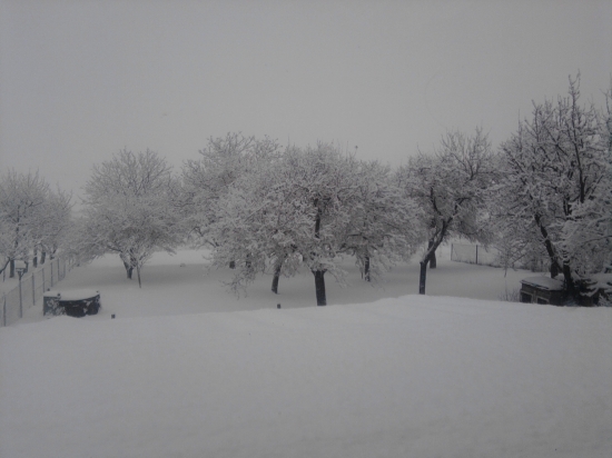 prišla zima