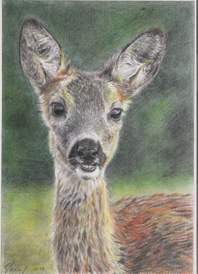 Toto dokážu farbičky