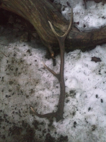 a takto ma cakal pri solisku