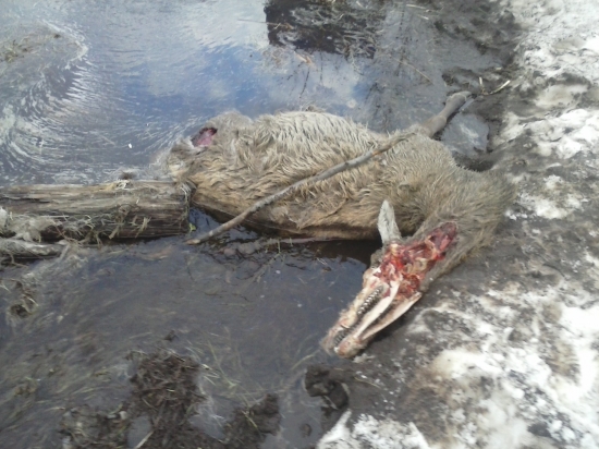 a takto som ho nasiel