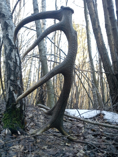 Aspoň jeden za všetky  