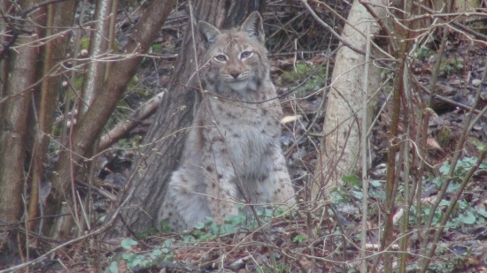 ...asi so mnou nerátal:)