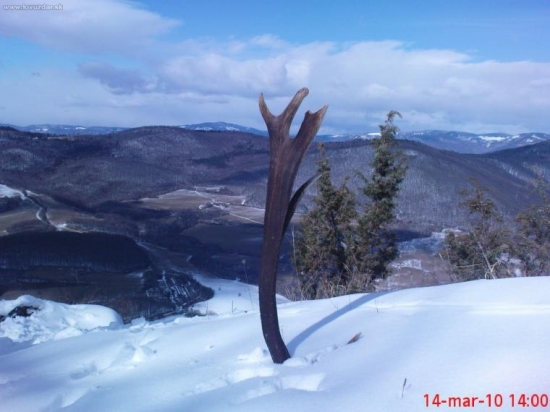 Vlanajší,vybratý zpod snehu