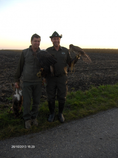 25 vyročie založenia rakuskeho Klubu sokoliarov