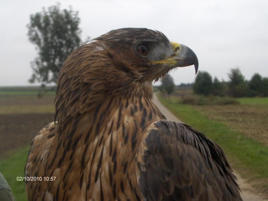 konečne je tu sezona