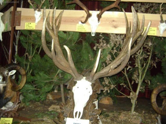 levicke polovnicke dni 2010