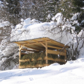 meteorologovia predpovedali občasné sneženie