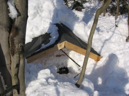 niekto mu pomohol sneh to nebol