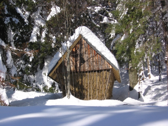 sobotná kontrola a doplnenie krmiva