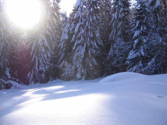Dnešná návšteva revíru