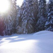 Dnešná návšteva revíru