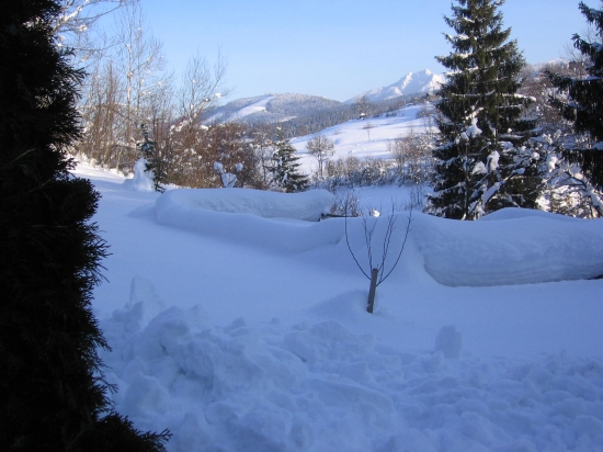 Moja zasnežená záhradka,v pozadí Rozsutec