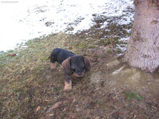 Argo sa zoznamuje s okolím