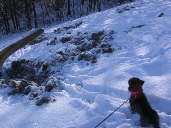 Dnes ráno s Argom na kontrole