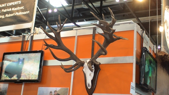 Výstava Vienna-Jaspova