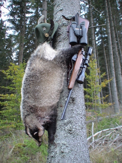 Posledná 