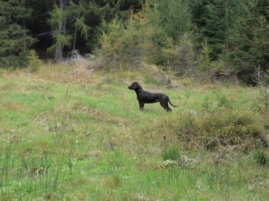 Čo to tam asi môže byť ???