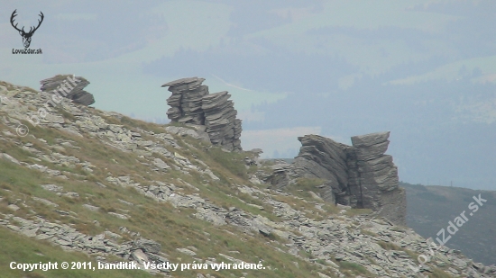 Nízke Tatry - Kráľová hoľa