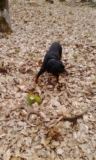 Konečne sa podarilo vďaka ,,Harovi,,