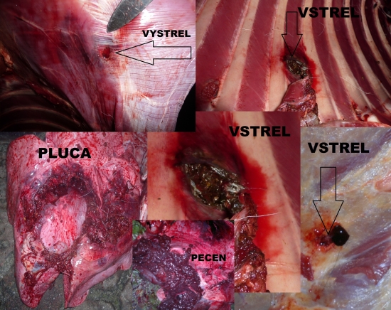 Norma Swift Scirocco 9,72g 7rem. mag