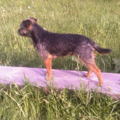 Alex
