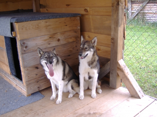 Je poznat že jsou to sestry