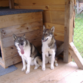 Je poznat že jsou to sestry