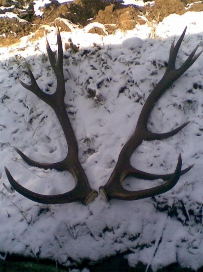 najkrajsie v roku 2009