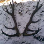 najkrajsie v roku 2009