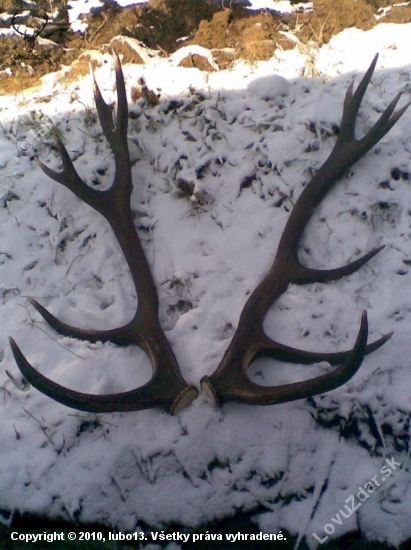 najkrajsie v roku 2009