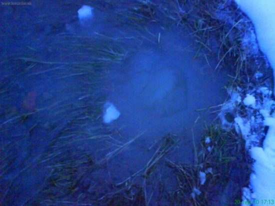 prírodný prameň v zime