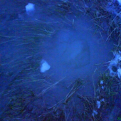 prírodný prameň v zime