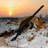 Tretí lišiak tento týždeň